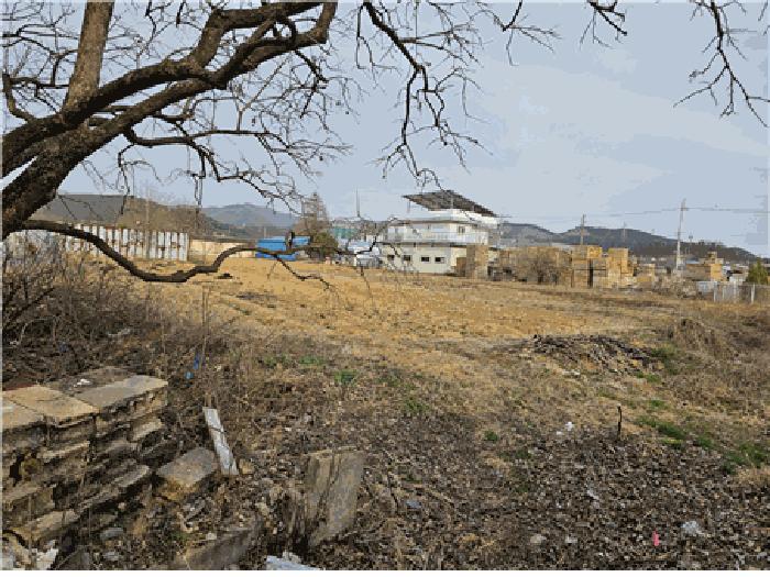 경상북도 칠곡군 왜관읍 왜관리 610-1 전 경매 사진 3