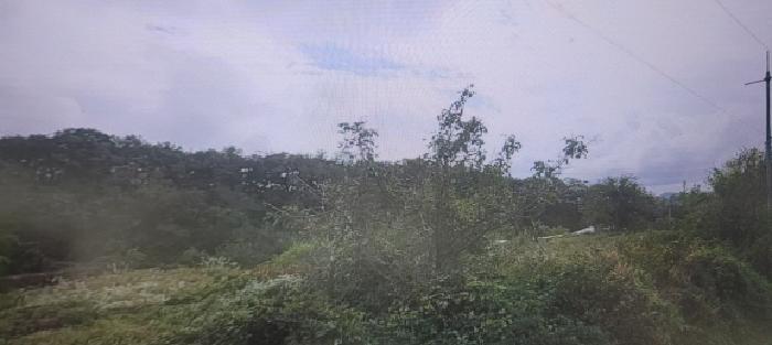 대구광역시 동구 신무동 112 답 경매 사진 4