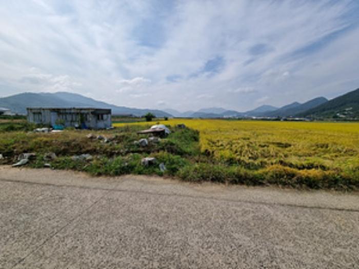 경상남도 창원시 의창구 북면 신촌리 1502-8 답 경매 사진 5