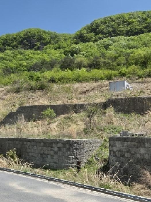 전라남도 화순군 동면 복암리 459-28 과수원 경매 사진 9