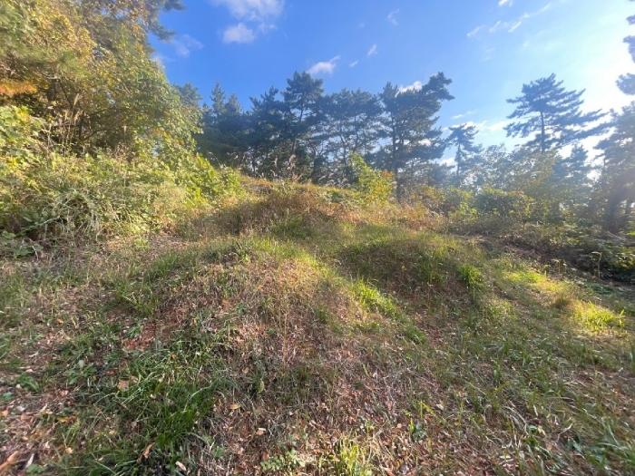 경상남도 김해시 이동 산18 임야 경매 사진 2