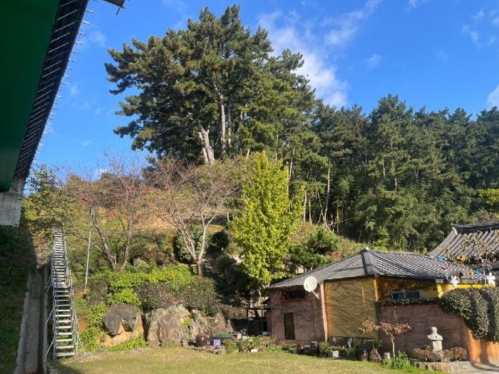 경상남도 김해시 이동 산18 임야 경매 사진 3