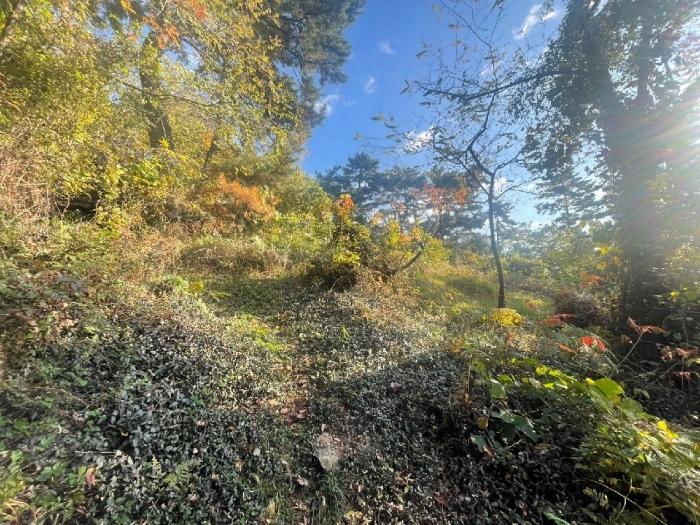 경상남도 김해시 이동 산18 임야 경매 사진 5