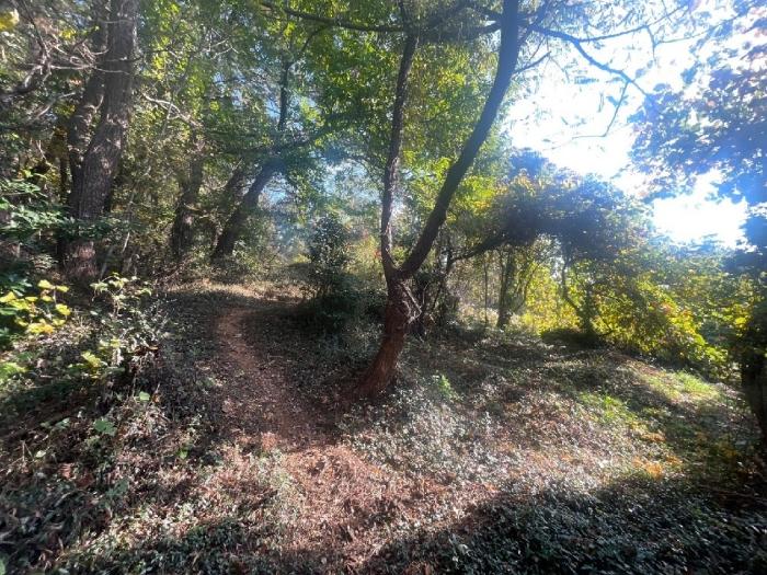 경상남도 김해시 이동 산18 임야 경매 사진 6
