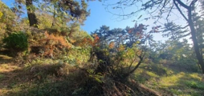 경상남도 김해시 이동 산18 임야 경매 사진 7