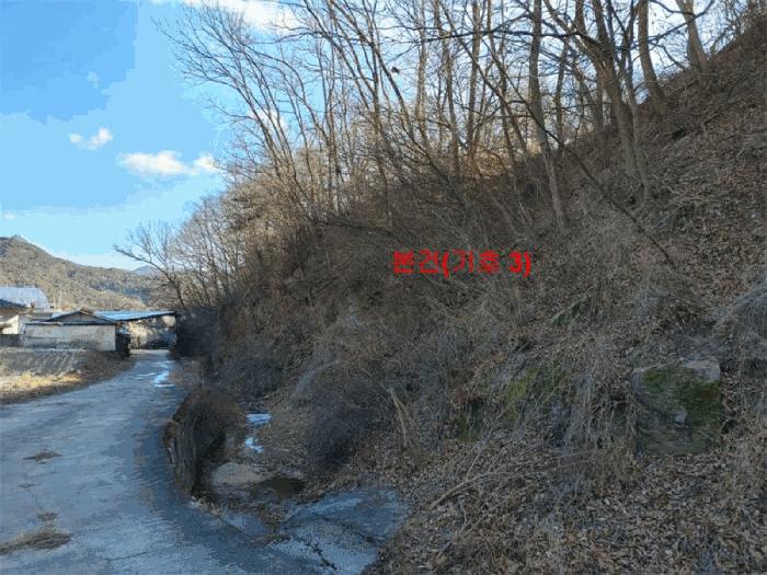 경상남도 거창군 주상면 성기리 산176 임야 경매 사진 2