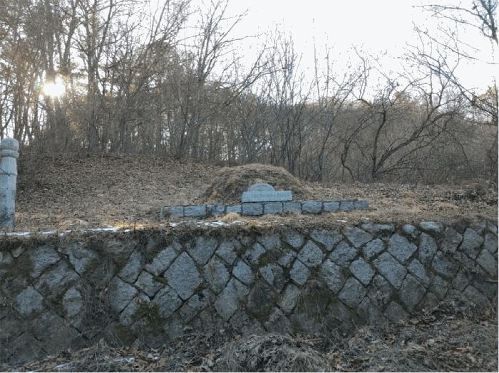 경상남도 거창군 주상면 성기리 산176 임야 경매 사진 6