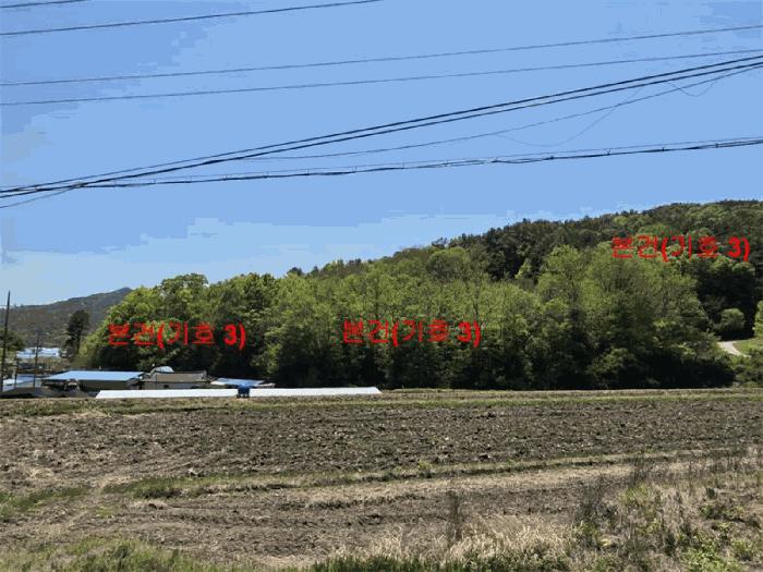 경상남도 거창군 주상면 성기리 산176 임야 경매 사진 8