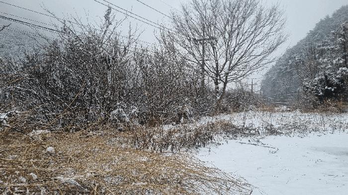 경상남도 합천군 숙박시설