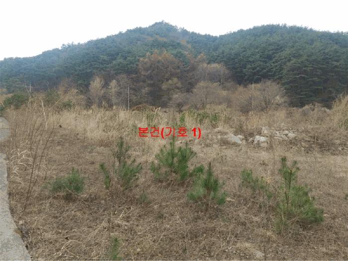 경상남도 거창군 북상면 월성리 535-11 임야 경매 사진 2