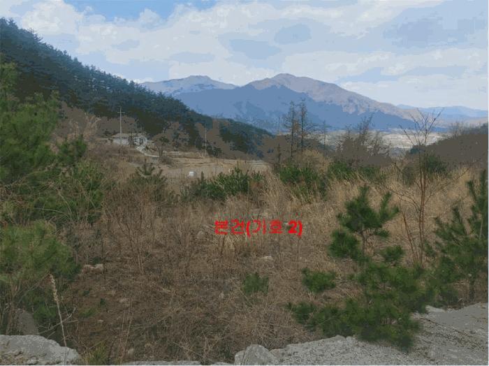 경상남도 거창군 북상면 월성리 535-11 임야 경매 사진 3