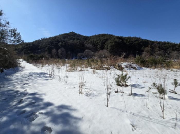 경상남도 거창군 북상면 월성리 535-11 임야 경매 사진 6