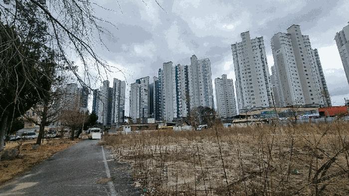 경상남도 거창군 거창읍 정장리 354-1 전 경매 사진 12