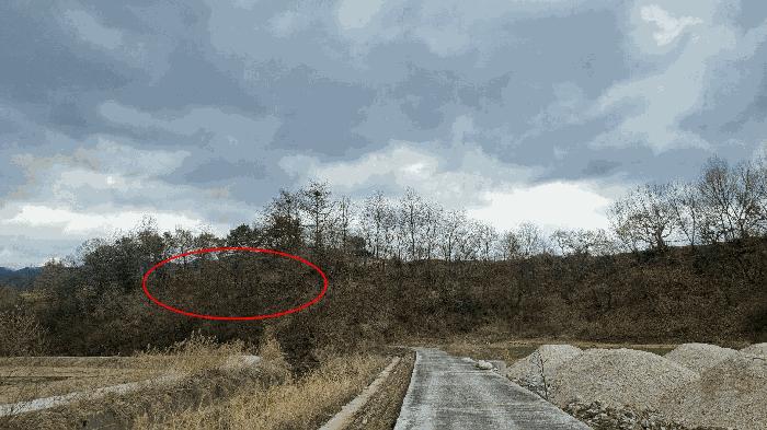 경상남도 거창군 거창읍 정장리 354-1 전 경매 사진 6