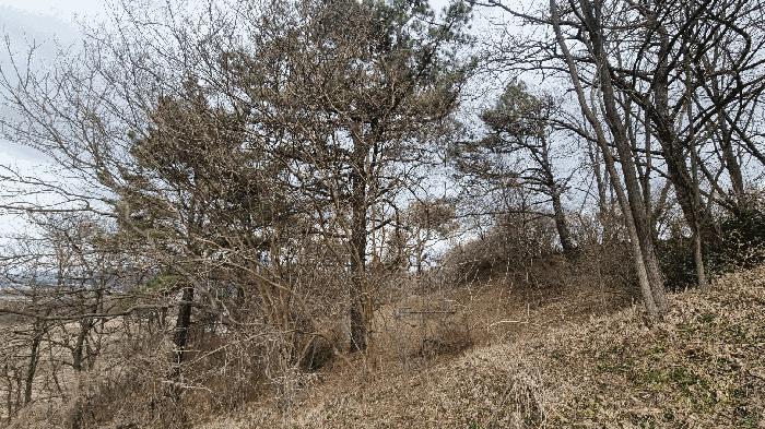 경상남도 거창군 거창읍 정장리 354-1 전 경매 사진 8