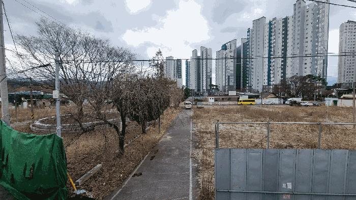 경상남도 거창군 거창읍 정장리 354-1 전 경매 사진 9