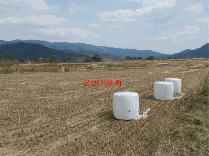 경상남도 거창군 위천면 장기리 528 답 경매 사진 5