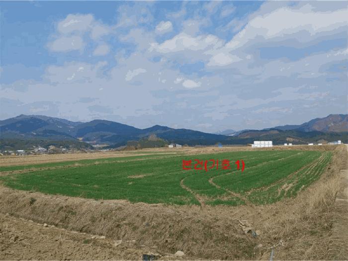 경상남도 거창군 위천면 장기리 528 답 경매 사진 9
