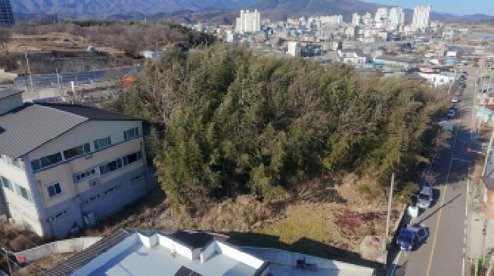 경상남도 함양군 함양읍 이은리 972-5 임야 경매 사진 1