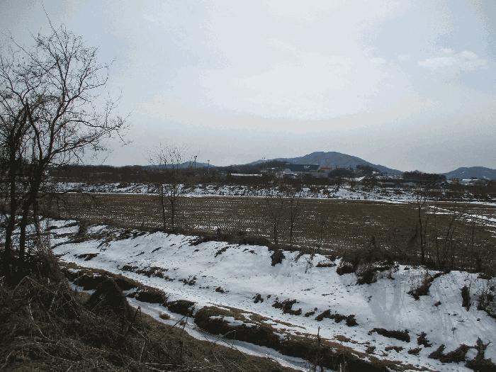 경기도 안성시 일죽면 능국리 221-20 답 경매 사진 1
