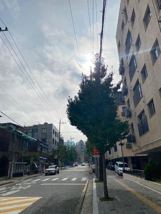 서울특별시 영등포구 신길동 124-11 신길바른리움 제104동 제2층 203호 근린상가 경매 사진 5