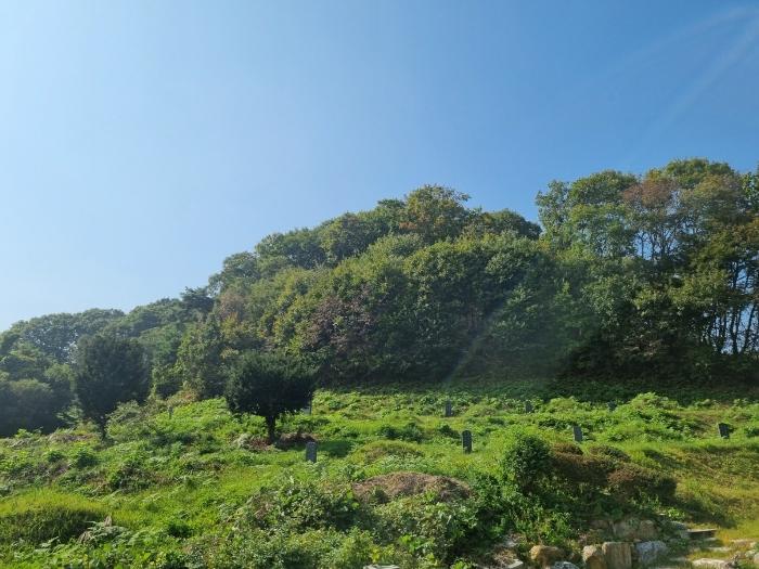 경기도 광주시 도척면 궁평리 800-6 임야 경매 사진 10