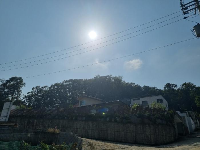 경기도 광주시 도척면 궁평리 800-6 임야 경매 사진 3