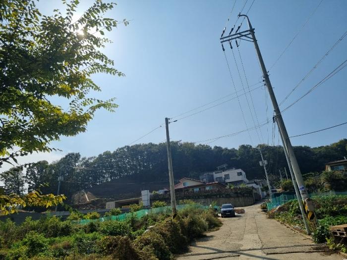 경기도 광주시 도척면 궁평리 800-6 임야 경매 사진 8