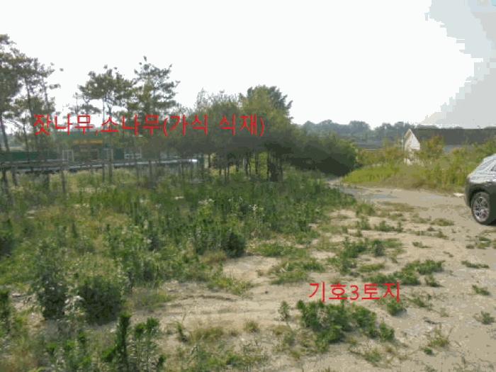충청북도 음성군 대소면 성본리 483 답 경매 사진 4