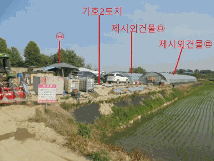 충청북도 음성군 대소면 성본리 483 답 경매 사진 8