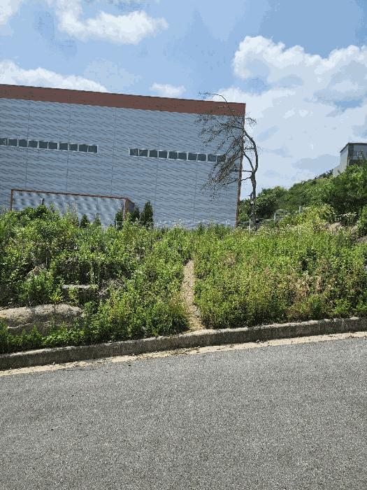 충청북도 음성군 감곡면 상우리 산28-15 임야 경매 사진 3