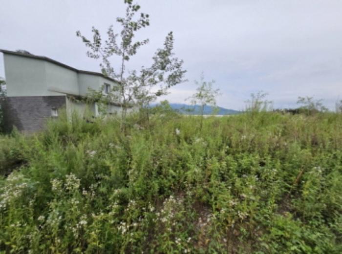 충청북도 음성군 감곡면 상우리 산28-15 임야 경매 사진 40