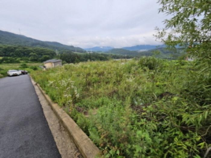 충청북도 음성군 감곡면 상우리 산28-51 임야 경매 사진 41
