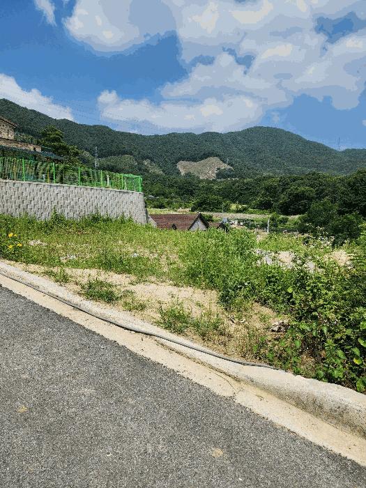 충청북도 음성군 감곡면 상우리 산28-51 임야 경매 사진 5