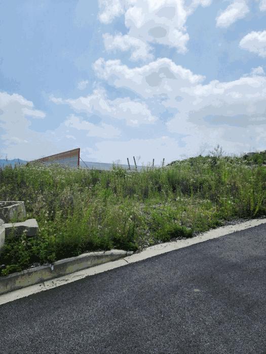 충청북도 음성군 감곡면 상우리 산28-54 임야 경매 사진 24