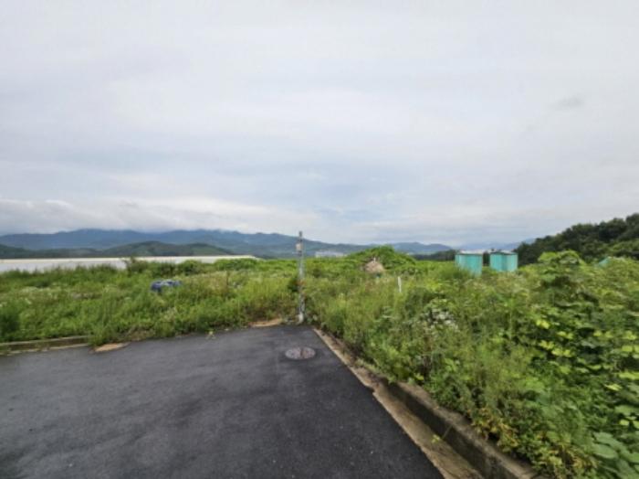 충청북도 음성군 감곡면 상우리 산28-54 임야 경매 사진 38