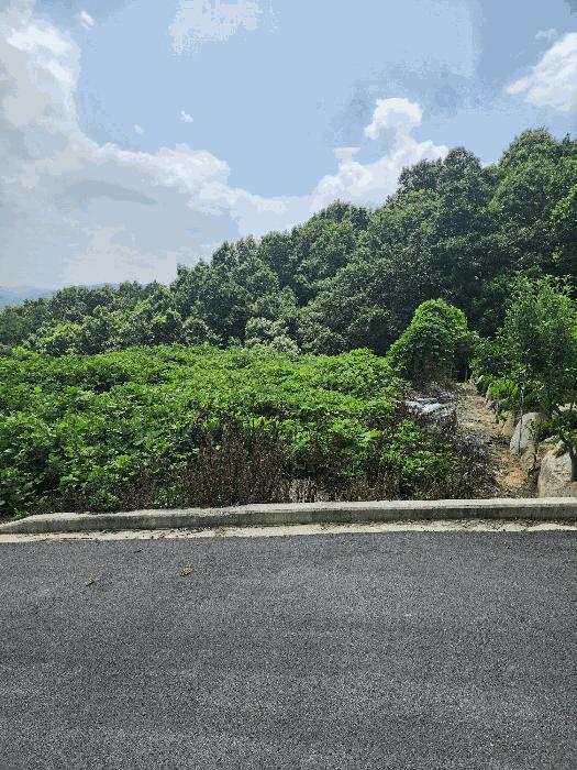 충청북도 음성군 감곡면 상우리 산28-54 임야 경매 사진 8