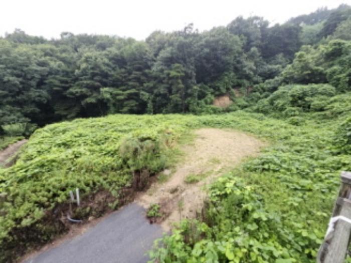 충청북도 음성군 감곡면 상우리 산28-59 임야 경매 사진 34