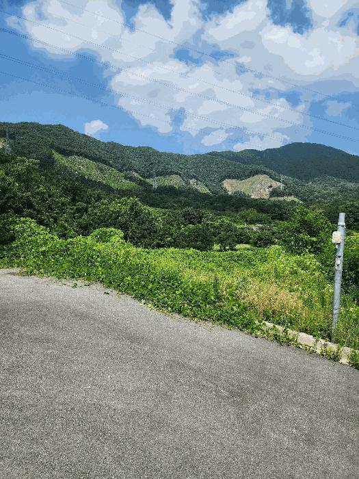 충청북도 음성군 감곡면 상우리 산28-61 임야 경매 사진 16
