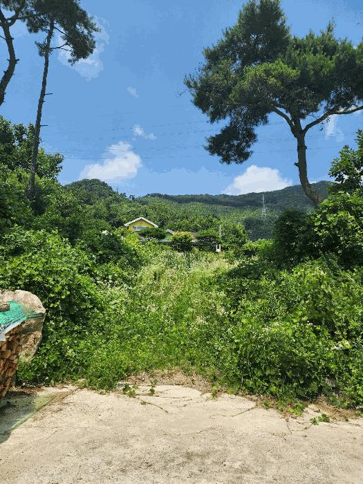 충청북도 음성군 감곡면 상우리 산28-61 임야 경매 사진 20