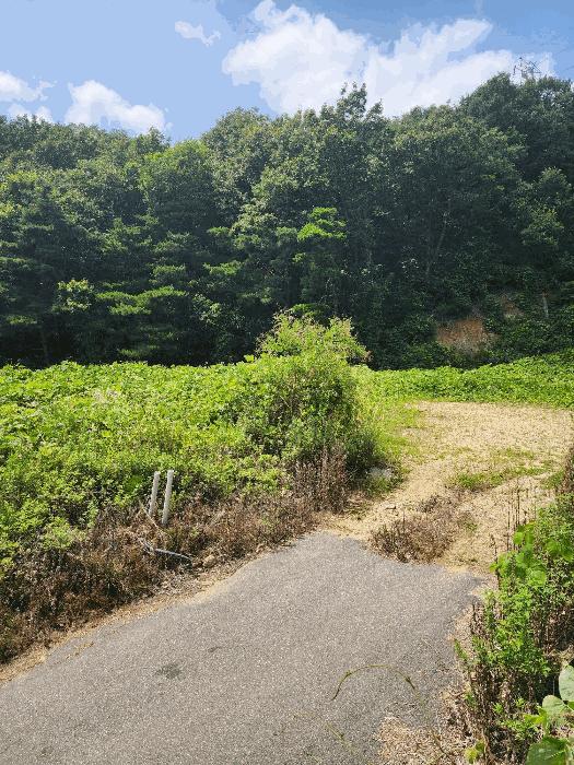 충청북도 음성군 임야