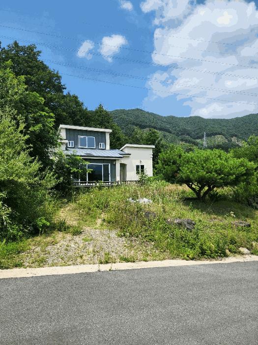 충청북도 음성군 감곡면 상우리 산28-65 임야 경매 사진 2