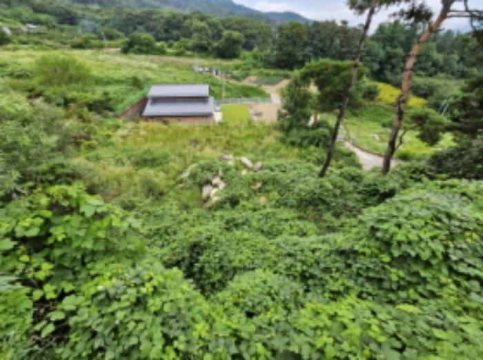 충청북도 음성군 감곡면 상우리 산28-65 임야 경매 사진 29