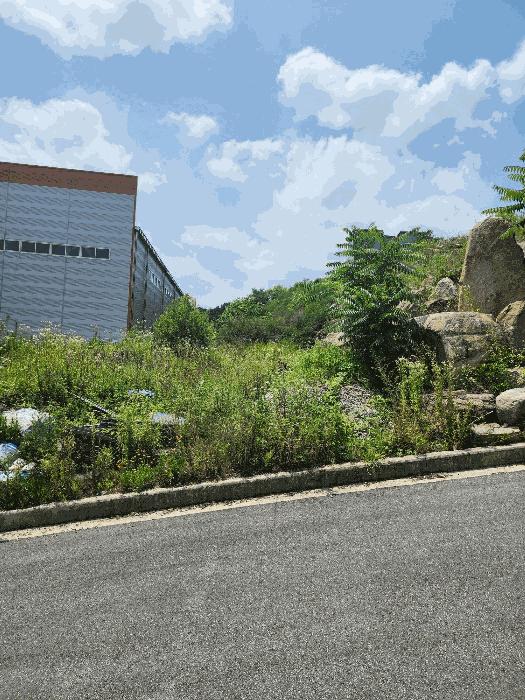 충청북도 음성군 감곡면 상우리 산28-65 임야 경매 사진 4