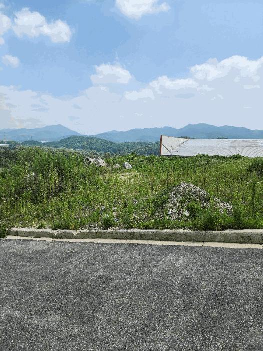 충청북도 음성군 감곡면 상우리 산28-66 임야 경매 사진 23