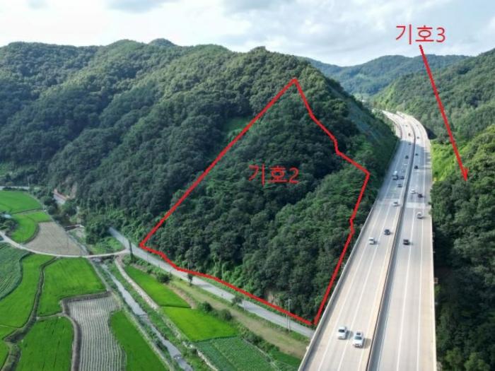 충청북도 충주시 대소원면 문주리 산25-9 임야 경매 사진 6