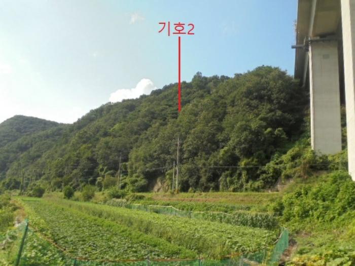 충청북도 충주시 대소원면 문주리 산25-9 임야 경매 사진 8