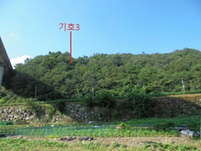충청북도 충주시 대소원면 문주리 산25-9 임야 경매 사진 9