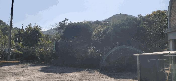 충청북도 충주시 노은면 법동리 413-1 주택 경매 사진 12