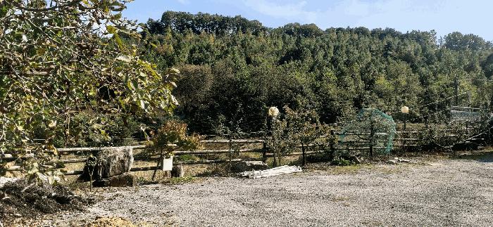 충청북도 충주시 노은면 법동리 413-1 주택 경매 사진 47
